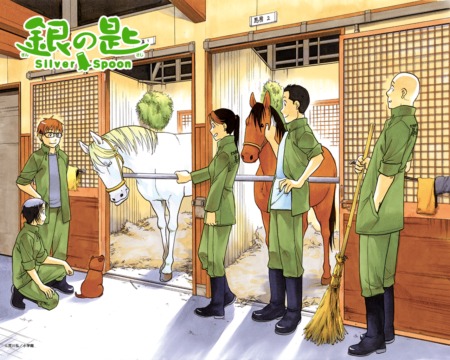 Silver Spoon Silver Spoon