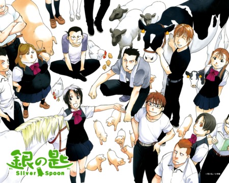 Silver Spoon Silver Spoon