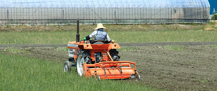 Silver Spoon : physionomie de l&rsquo;agriculture japonaise