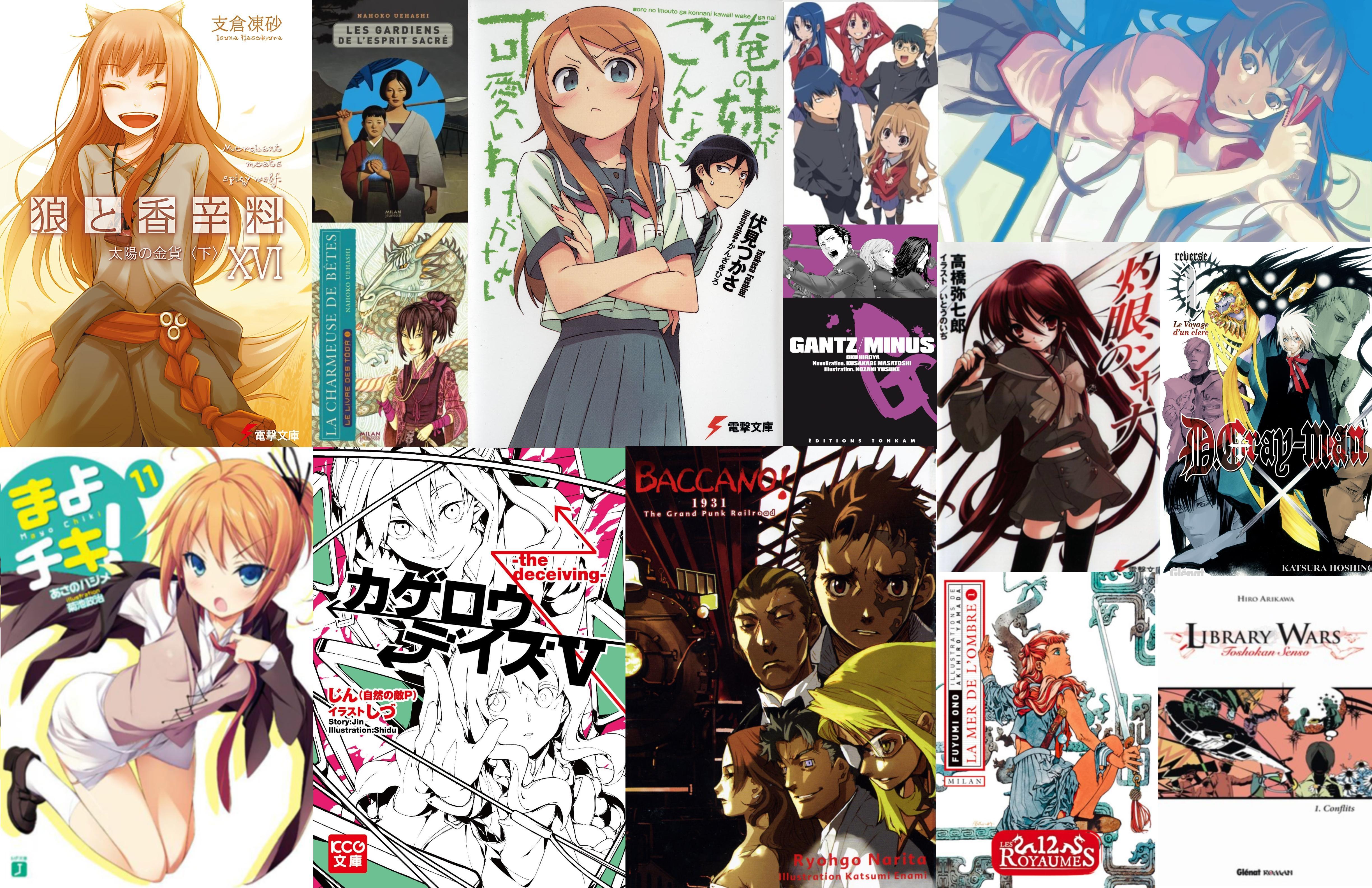 Le Light Novel : focus sur un média méconnu… et mal-aimé ?