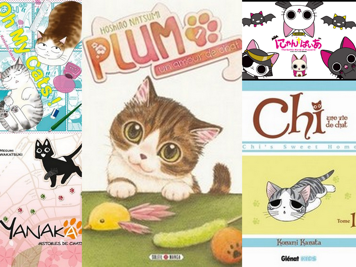 Des chats, des mangas, combo gagnant