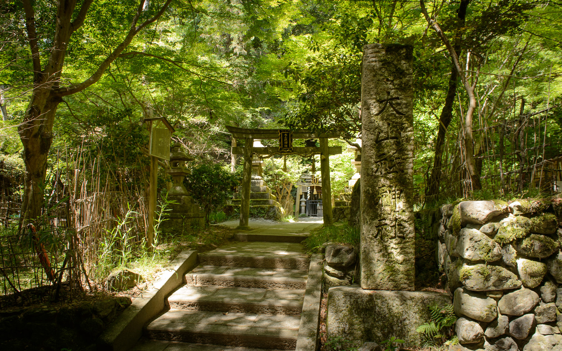 Le mont Hiei : la perle spirituelle du lac Biwa