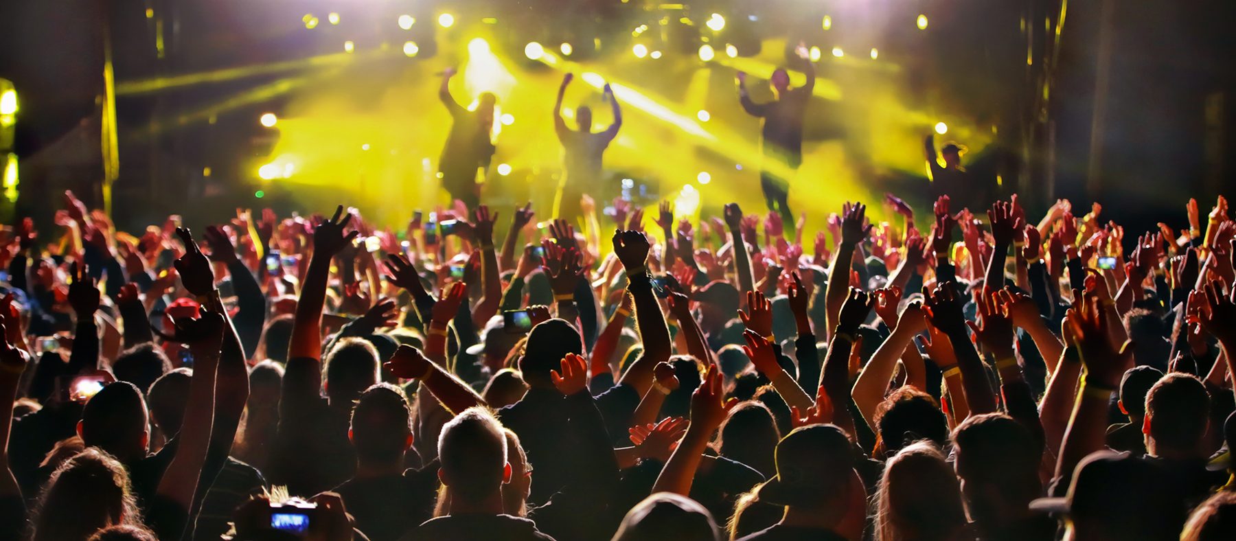 Agenda Jmusic : Ce que nous réserve 2019