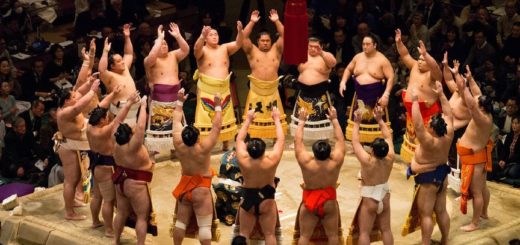 UNE de l'article sur les sumo, ces titan des tatami