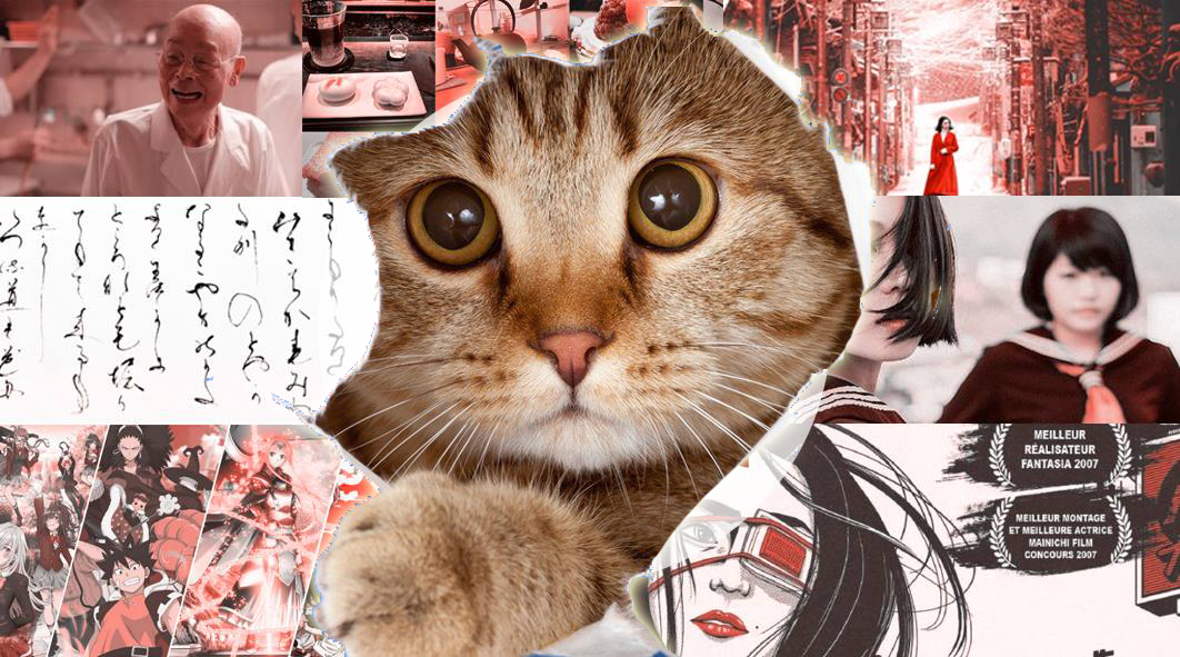 Journal du Japon devient Journyal du Chat-Pon : histoire d&rsquo;un putschat