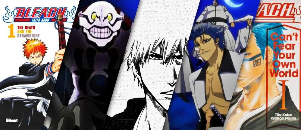 Bleach, une vie après la mort très mouvementée