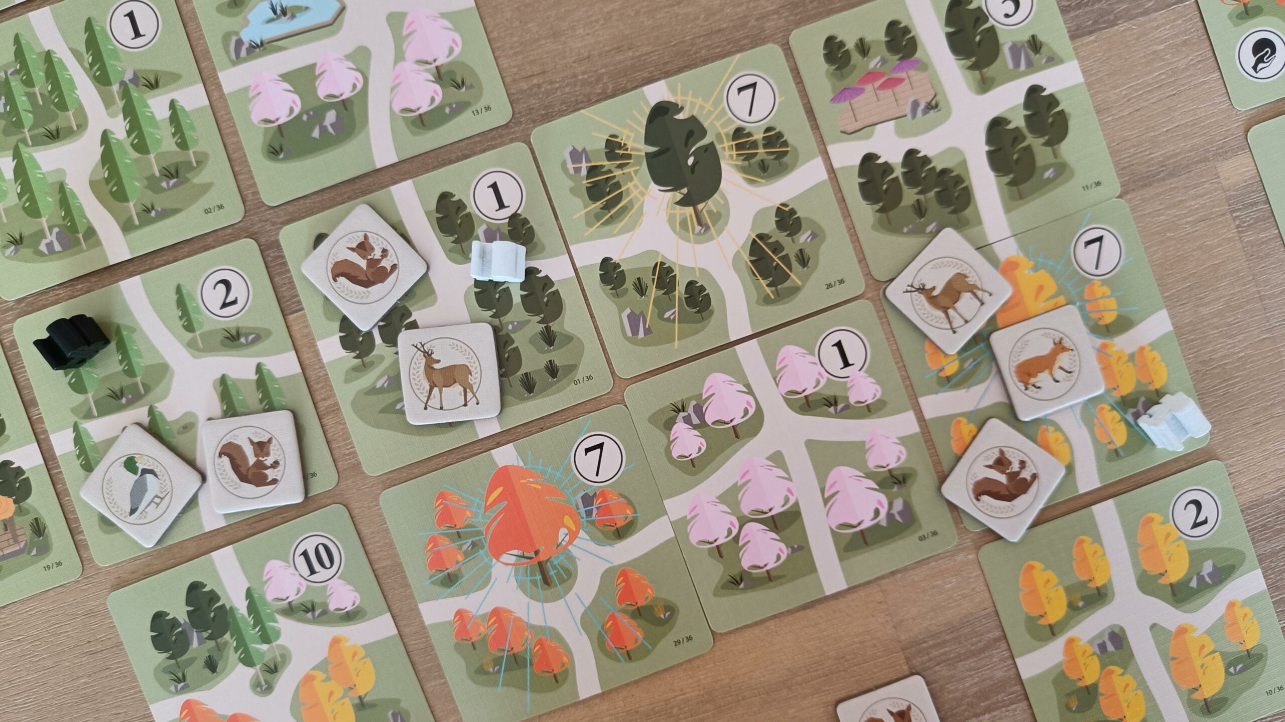 À l&rsquo;ombre du Sakura, le jeu des paysagistes en herbe !